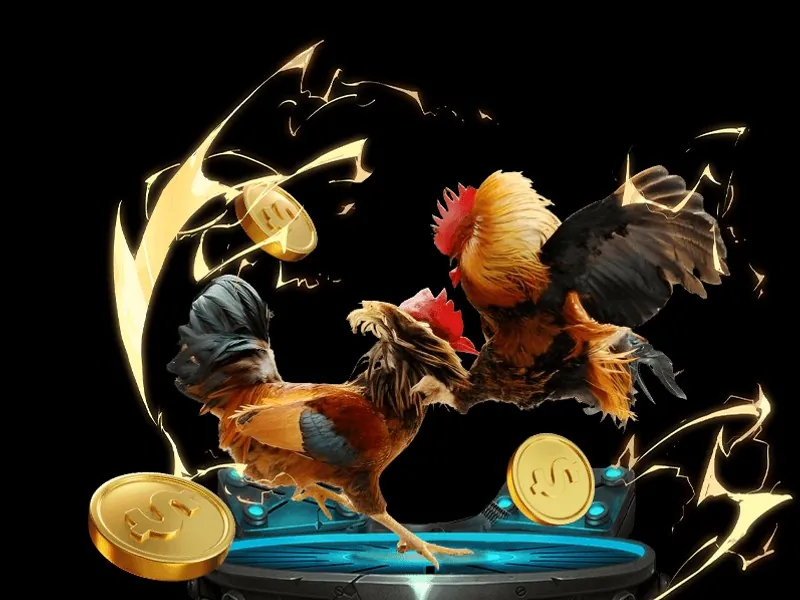 Sự Kiện Theo Mùa và Lễ Hội